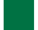 RAL 6029 