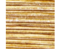 Golden Wood 