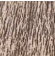 Silver Wood 