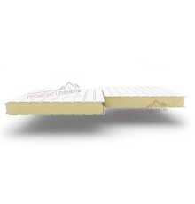 Стеновые сэндвич-панели из пенополиуретана, ширина 1200 мм, толщина 250 мм, 0.5/0.5, RAL 9003
