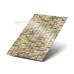 Профнастил С10-1160-0.5 Песчаник ECOSTEEL