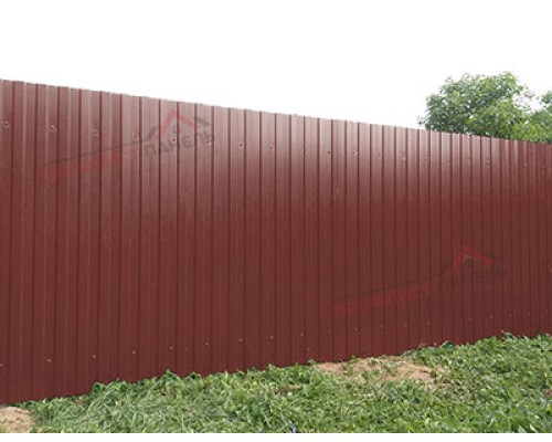 Профнастил С8-1150-0.5 Полиэстер RAL3009